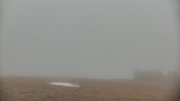 Snímek    3.11.2025 v 07:30