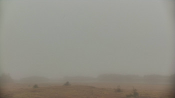 Snímek    3.11.2025 v 08:10