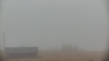 Snímek    3.11.2025 v 13:30