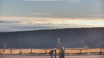 Snímek    4.11.2025 v 10:45