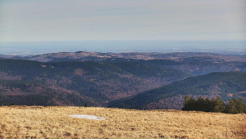 Snímek 5.11.2025 v 09:50