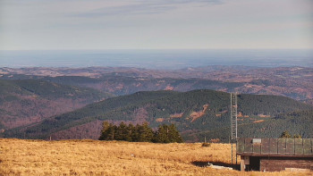 Snímek 5.11.2025 v 12:45