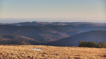 Snímek 6.11.2025 v 07:50