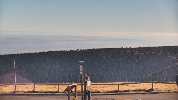 Snímek 6.11.2025 v 13:00