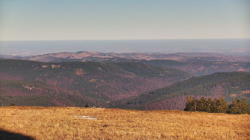 Snímek 6.11.2025 v 14:05