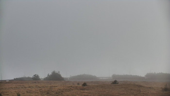 Snímek 7.11.2025 v 09:30