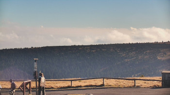 Snímek 7.11.2025 v 13:15