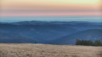 Snímek 8.11.2025 v 06:55