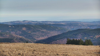 Snímek 8.11.2025 v 10:00