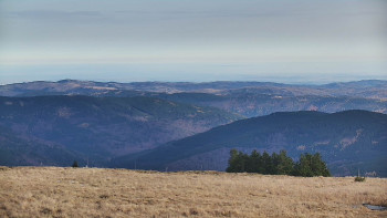 Snímek 8.11.2025 v 10:15