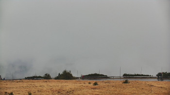 Snímek 8.11.2025 v 13:45