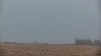 Snímek 8.11.2025 v 16:20