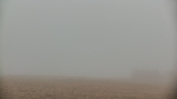 Snímek 9.11.2025 v 11:10