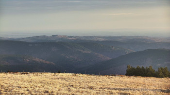 Snímek 14.11.2025 v 07:30