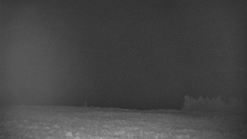 Snímek 16.11.2025 v 00:20