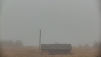 Snímek 17.11.2025 v 11:05