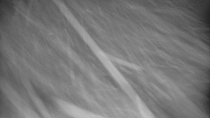 Praděd - Vysílač - Praděd - Vysílač - 2.1.2026 v 04:05 Praděd - Vysílač - Praděd - Vysílač - 2.1.2026 v 04:05