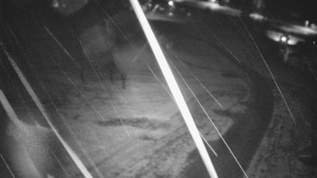 Snímek    3.11.2025 v 02:16