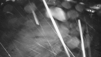 Snímek    3.11.2025 v 04:30