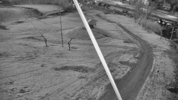 Snímek 7.11.2025 v 16:46