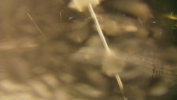 Spodní část sjezdovky skiareálu Karolinka