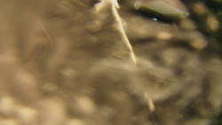 Spodní část sjezdovky skiareálu Karolinka