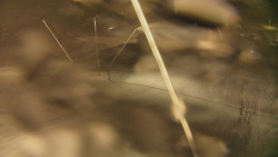 Spodní část sjezdovky skiareálu Karolinka