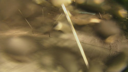 Spodní část sjezdovky skiareálu Karolinka