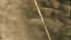 Spodní část sjezdovky skiareálu Karolinka