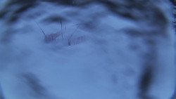 Spodní část sjezdovky skiareálu Karolinka