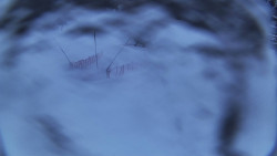 Spodní část sjezdovky skiareálu Karolinka