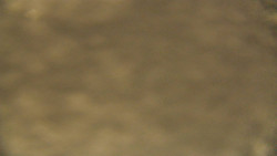 Spodní část sjezdovky skiareálu Karolinka