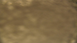 Spodní část sjezdovky skiareálu Karolinka