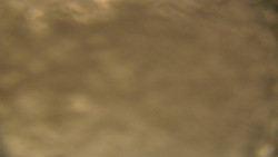 Spodní část sjezdovky skiareálu Karolinka