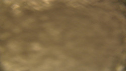 Spodní část sjezdovky skiareálu Karolinka