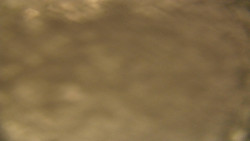 Spodní část sjezdovky skiareálu Karolinka