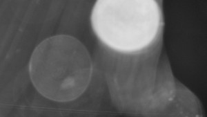 SKICENTRUM Miroslav Lipová Lázně - Dojezd hlavní sjezdovky - 15.6.2025 v 00:00 SKICENTRUM Miroslav Lipová Lázně - Dojezd hlavní sjezdovky - 15.6.2025 v 00:00