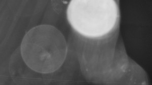 SKICENTRUM Miroslav Lipová Lázně - Dojezd hlavní sjezdovky - 15.6.2025 v 01:00 SKICENTRUM Miroslav Lipová Lázně - Dojezd hlavní sjezdovky - 15.6.2025 v 01:00