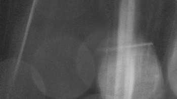 Snímek    28.10.2025 v 23:35