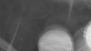 Snímek    2.11.2025 v 21:45