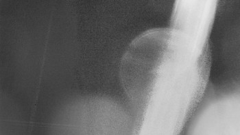 Snímek    3.11.2025 v 03:40