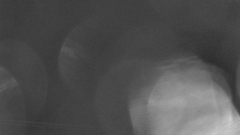 Snímek    3.11.2025 v 04:35