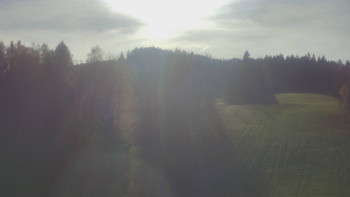 Snímek 5.11.2025 v 12:45