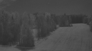 Snímek 6.11.2025 v 00:15