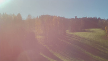 Snímek 6.11.2025 v 11:35