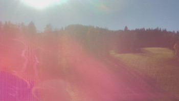 Snímek 6.11.2025 v 12:15