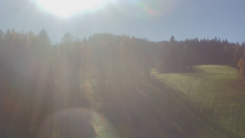 Snímek 6.11.2025 v 12:20