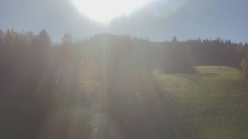 Snímek 6.11.2025 v 12:40