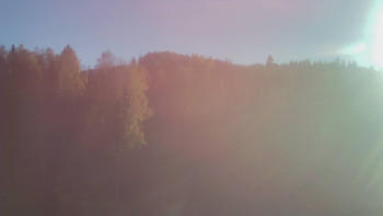 Snímek 6.11.2025 v 14:20