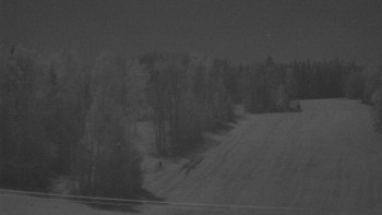 Snímek 7.11.2025 v 00:35